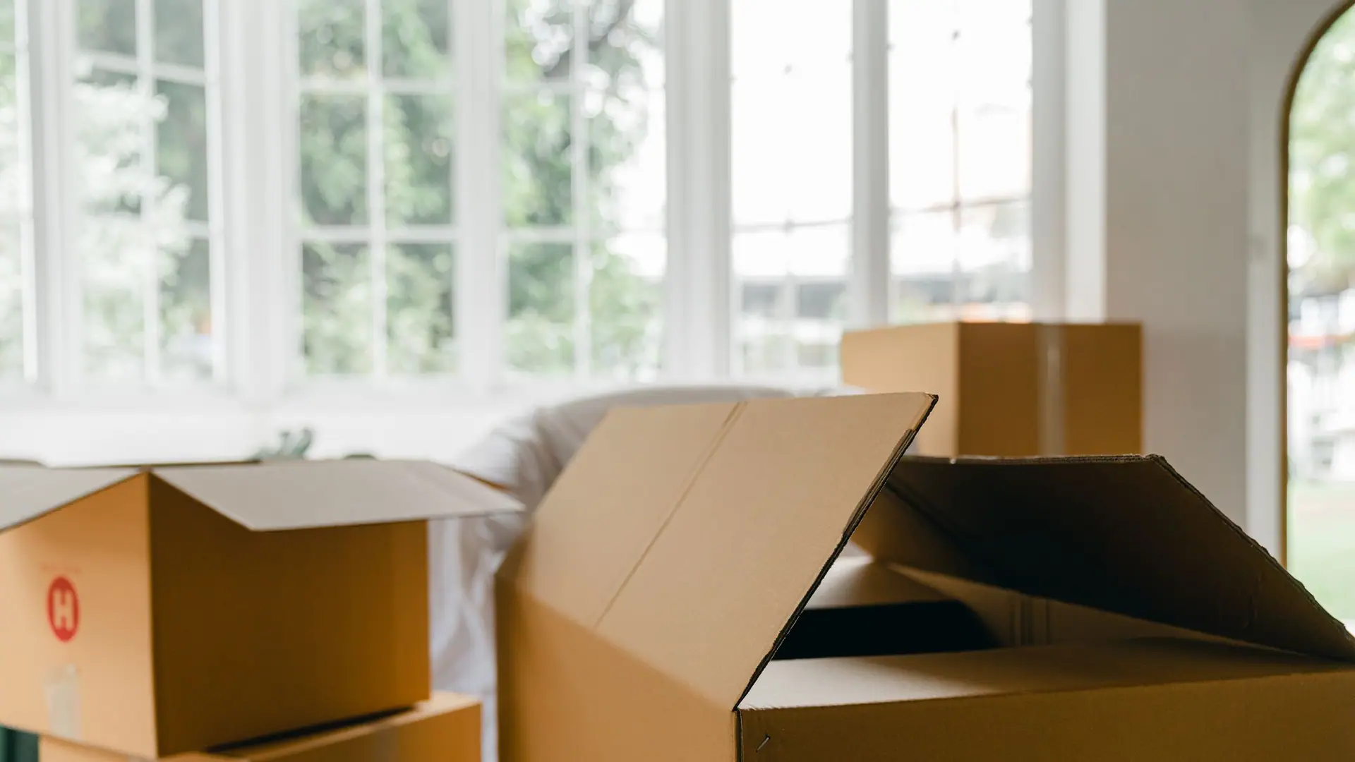 Open moving boxes in front of a window